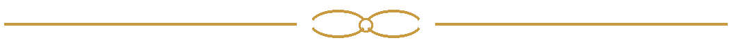 nolfi_separator_transparent